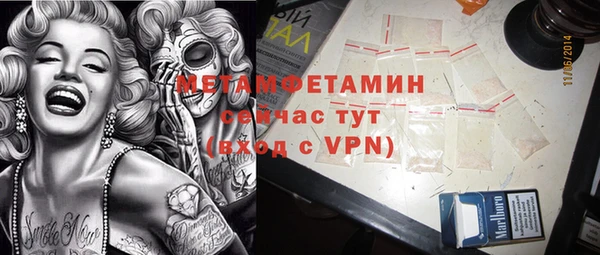 сатива Новодвинск
