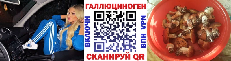 Псилоцибиновые грибы Psilocybine cubensis  Мценск 