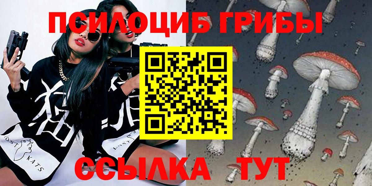 хочу наркоту  Псилоцибиновые грибы Cubensis  Мценск  Галлюциногенные грибы ЛСД 
