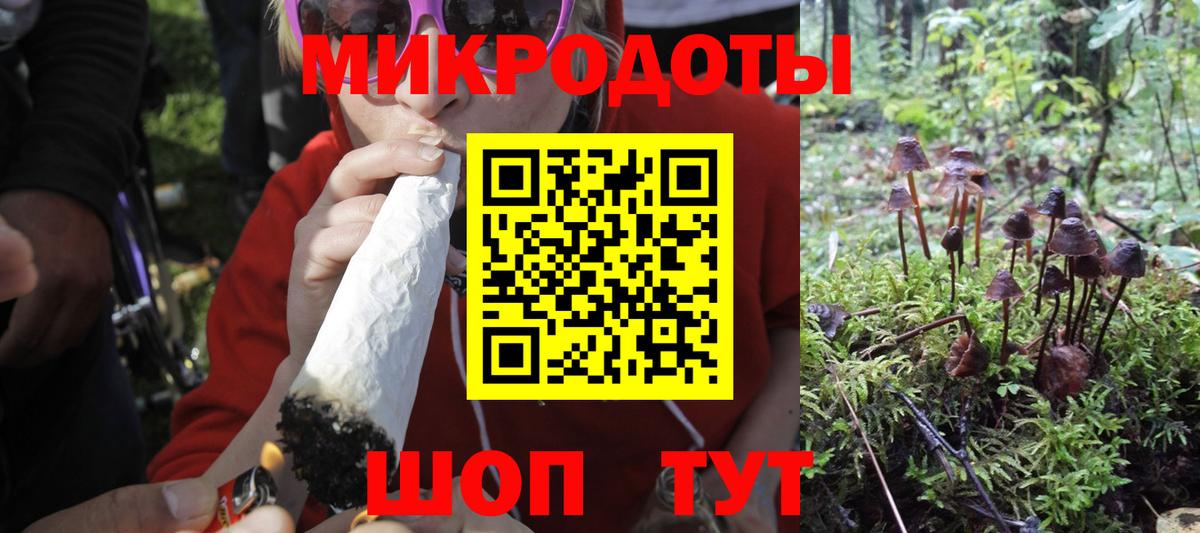 Галлюциногенные грибы прущие грибы  Галлюциногенные грибы ЛСД  Вход с VPN  что такое   Мценск 