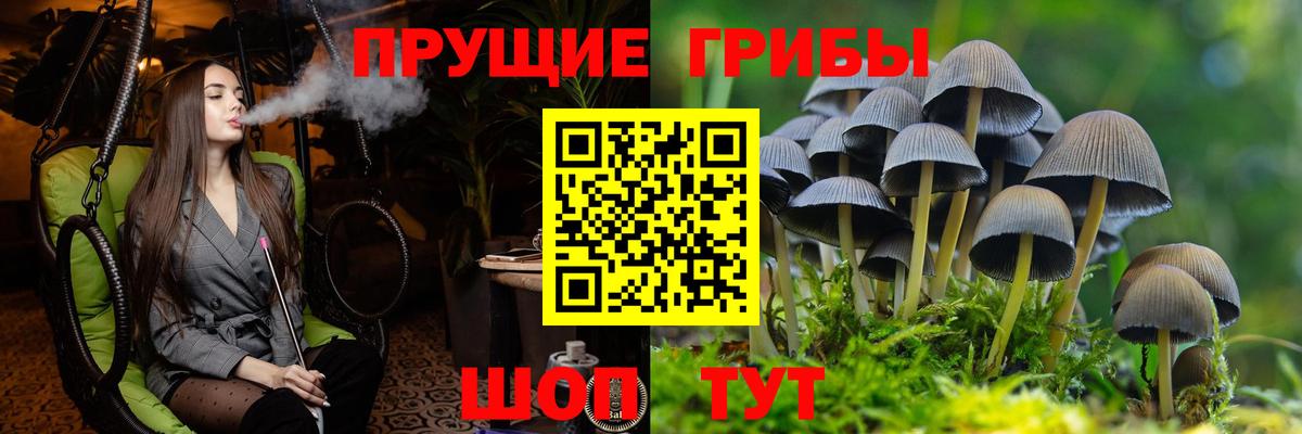 Псилоцибиновые грибы прущие грибы Мценск